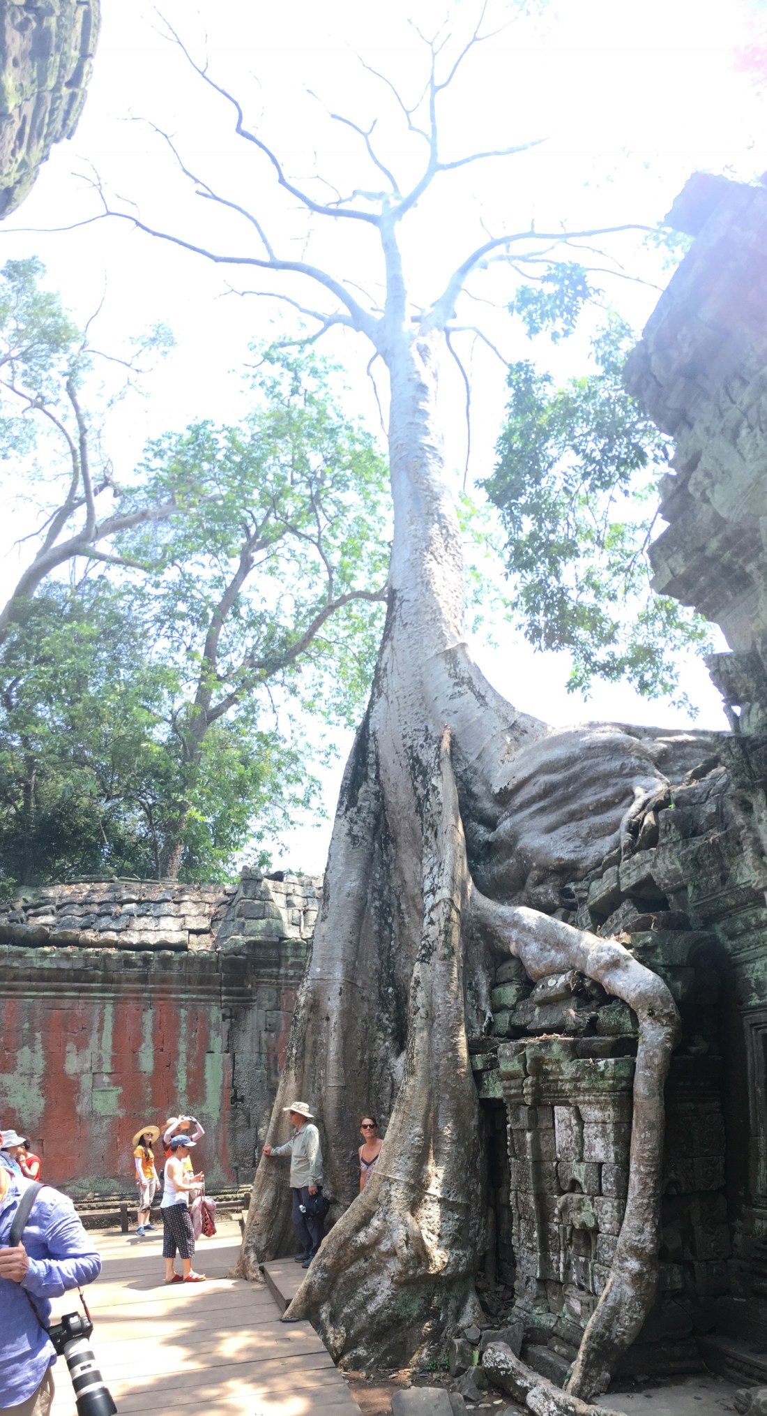 735C020C-C3CB-40F5-BB56-5187EE90ECCC